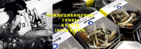 дмт Дедовск